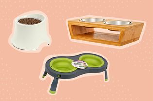 Best Elevated Dog Bowls