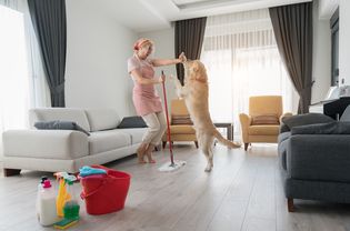 女人用狗拖地板