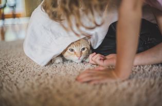 女孩挠小猫的下巴