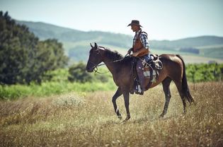 A western lone rider.