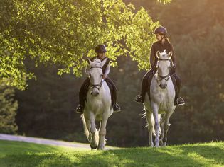 Two girls riding a horse