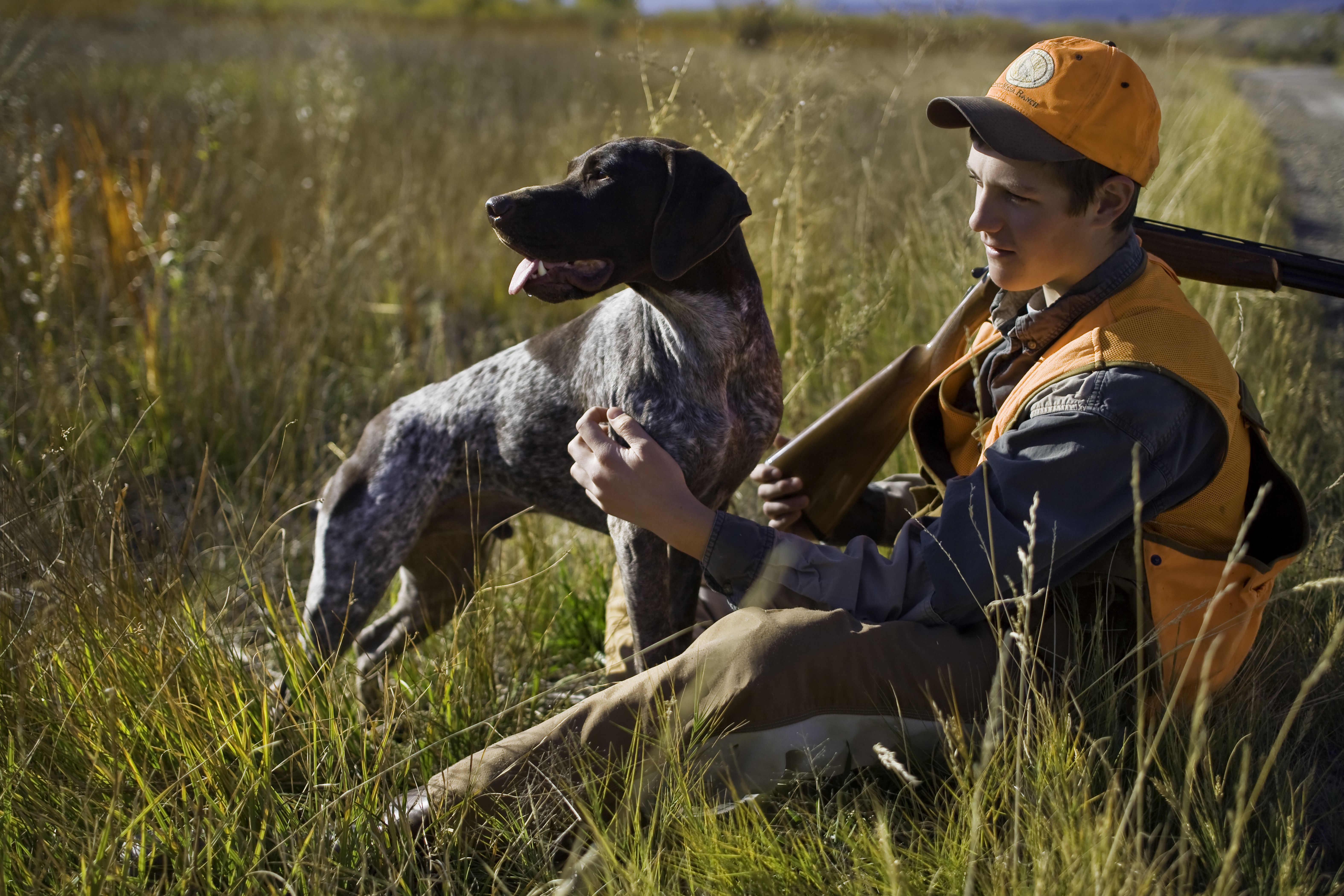 german shorthaired pointer stand next to hunter holding gun