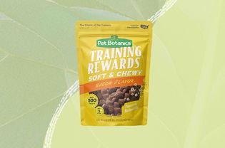 Pet Botanics Training Rewards Flavor Dog Treats displayed on a two tone green patterned background