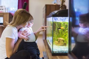 妈妈和宝宝在看水族馆。