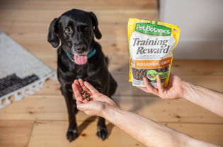 Pet Botanics Training Rewards Flavor Dog Treats