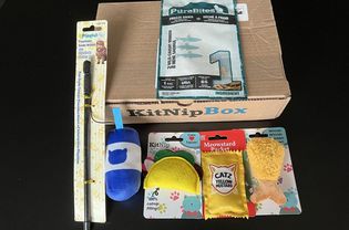 kitnipbox产品