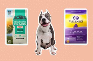 Best Dog Food for Pitbulls