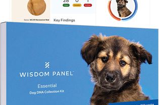 Wisdom Panel Essential Dog DNA Test