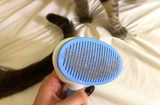 KALAMANDA Slicker Brush with Cat Hair Comb