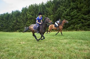 Side view of girl and mature woman wearing riding hats galloping on horseback