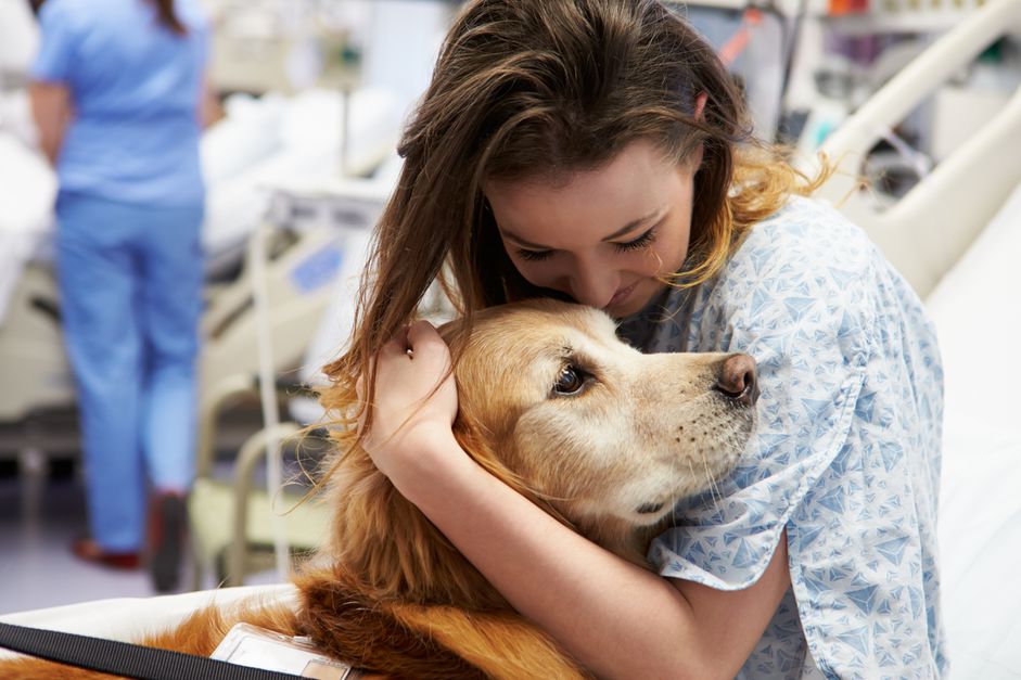 医院里，女病人抱着一只治疗犬