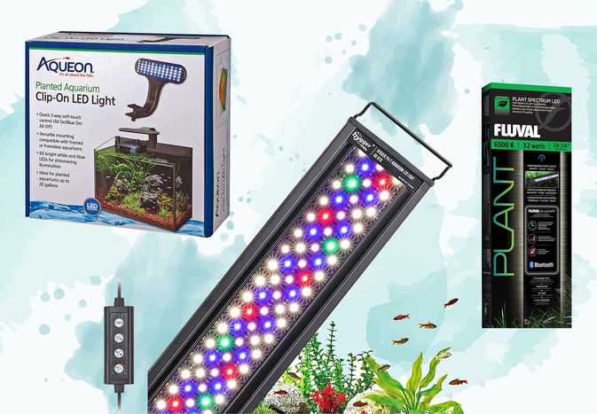 Three planted aquarium lights on a blue patterned background