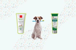 Dog Toothpastes