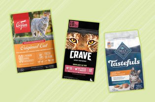 A variety of dry cat foods on a green background