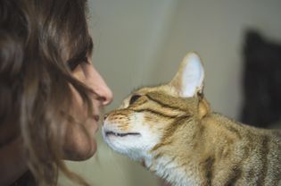 猫和女人在一起