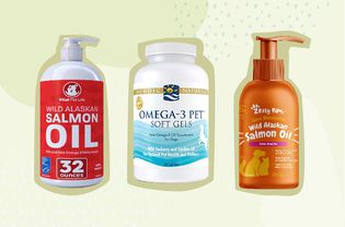 Best Fish Oils for Dogs