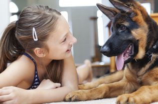 女孩和德国牧羊犬