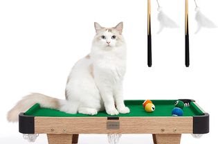 Vetreska Cat billiards pool table