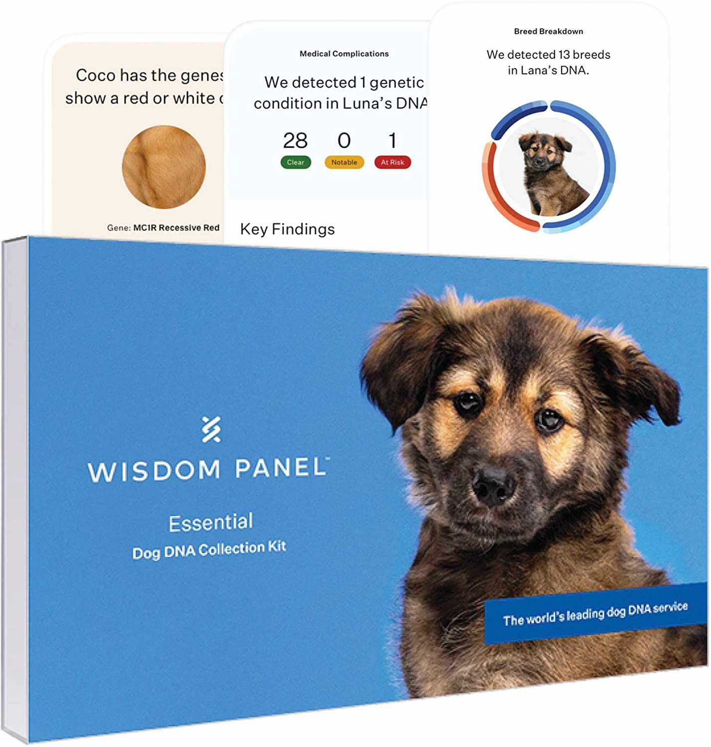 Wisdom Panel Essential Dog DNA Test