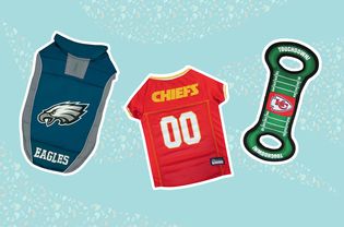 Dress Your Dog For the Super Bowl With Deals on Chiefs and Eagles Gear