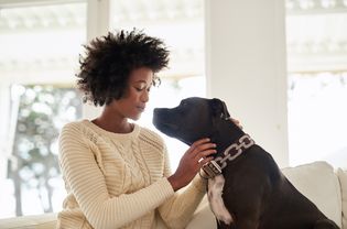 Person petting black terrier