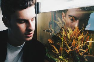 man looking in aquarium