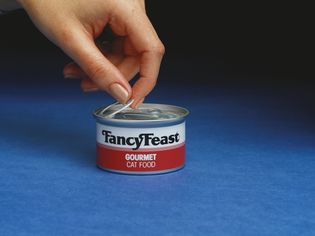 Studio shot of person opening a can of cat food