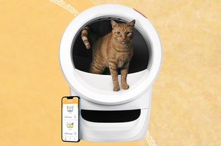 Comparing the Litter-Robot 4 vs. Leo's Loo Too Automatic Litter Boxes