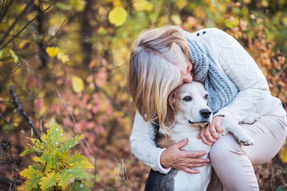 秋天的时候，高年级女生带着高年级的小猎犬在外面。