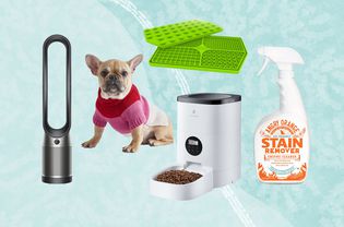 Best Memorial Day Weekend Pets Deals