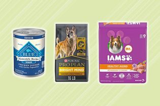 Assortment of dog food displayed on a green patterned background