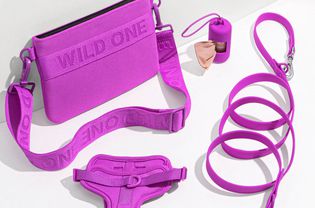 Wild One Walk Kit