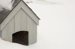 雪中的狗屋