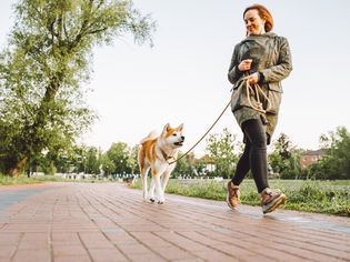 女士和她的柴犬慢跑