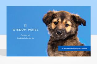 wisdom-panel-essential