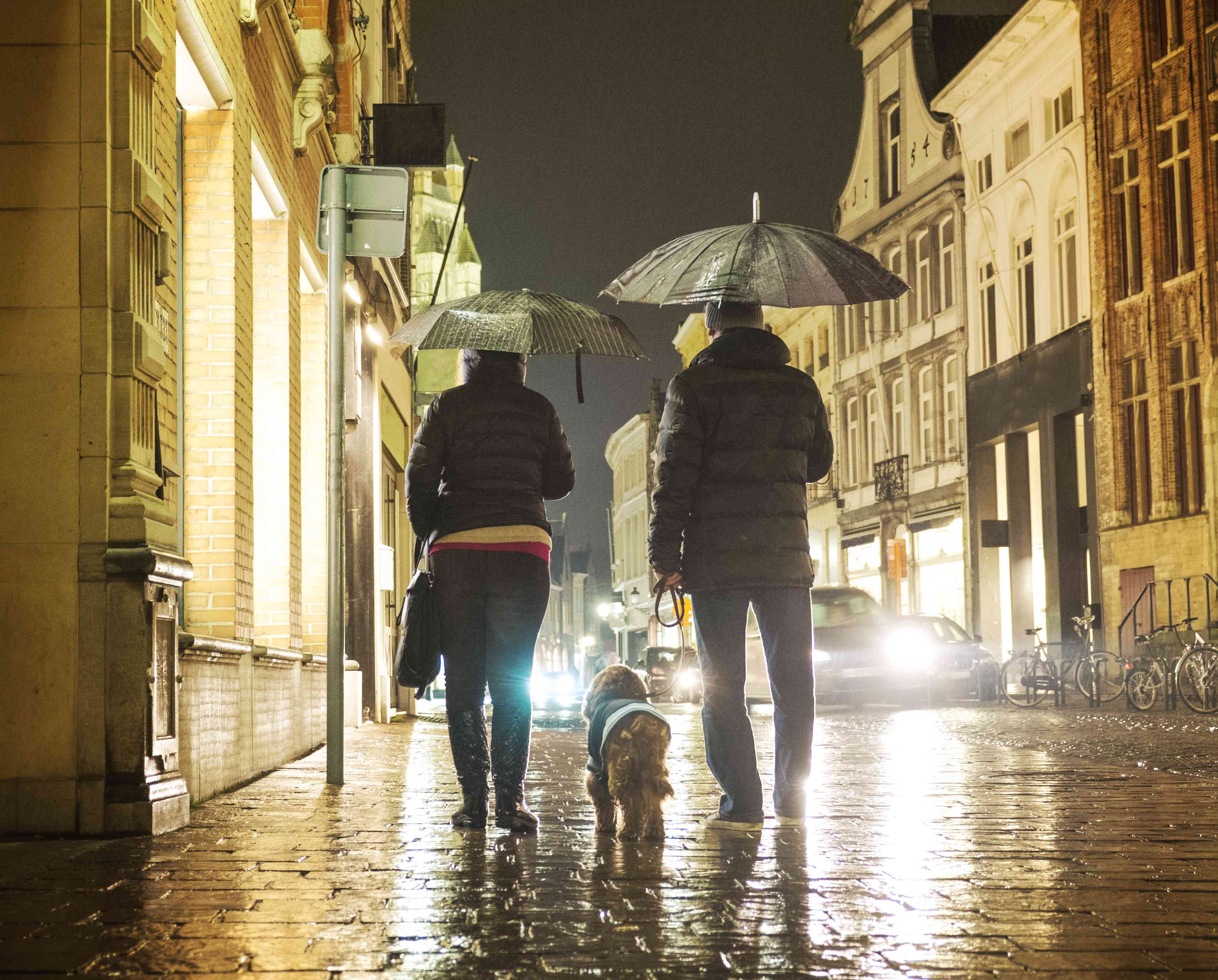 两个身穿黑色夹克、打着雨伞的人在遛狗。现在是晚上，他们在一个城市里。