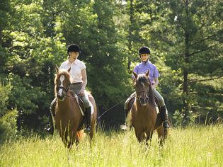 Two riders on horseback in a field