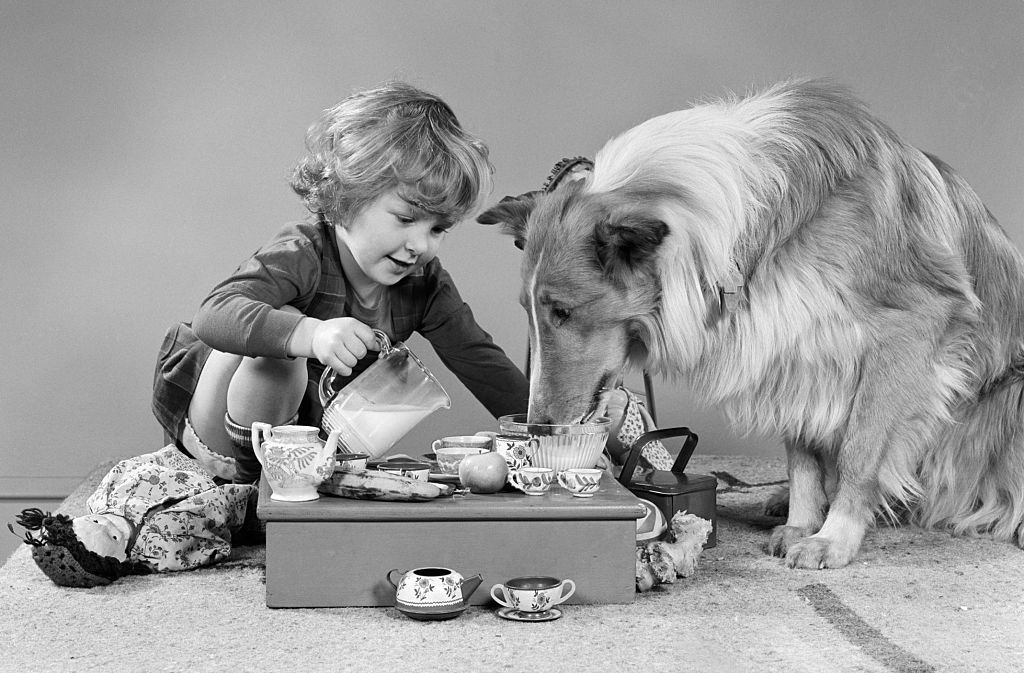 牧羊犬和孩子在旧黑白照片举行茶话会