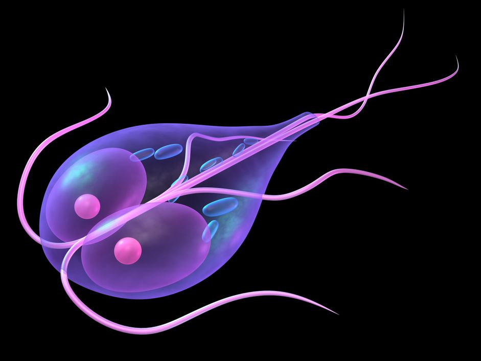 giardia-Eraxion-istock.jpg