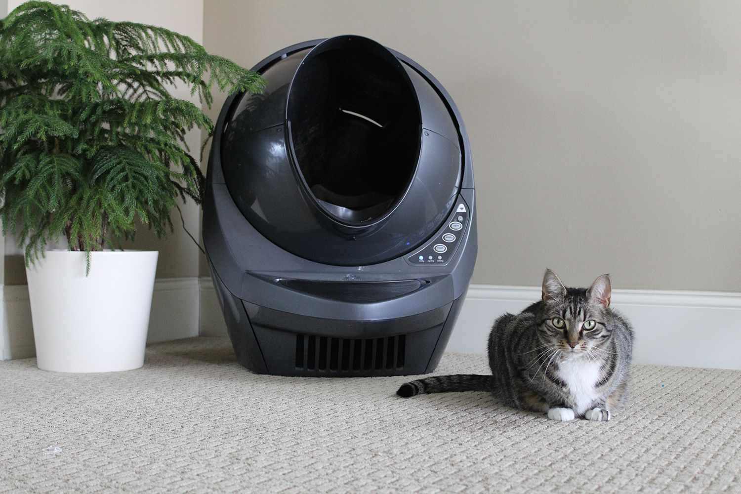 Litter-Robot 3连接