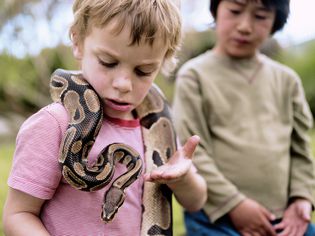 Boy with ball python