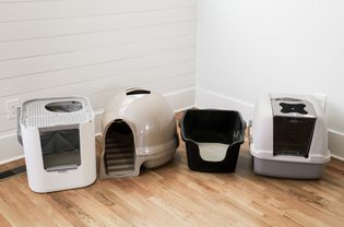 Cat Litter Box Testing Roundup