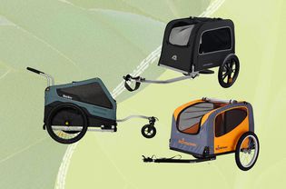 Bike trailers for dogs we recommend on a green background