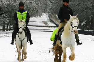 女孩们骑着白马在雪道上。