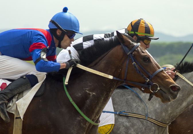 A bay and a gray racehorse battling for the lead.