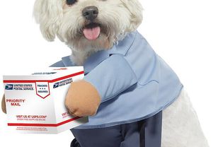 USPS Dog Halloween Costume