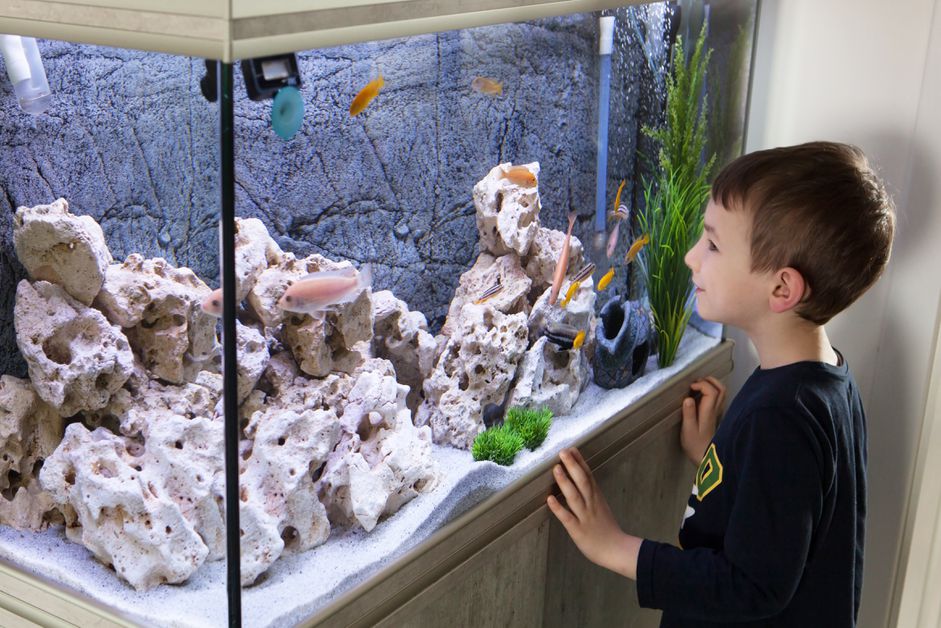 孩子们在鱼缸里。水族馆和水族馆