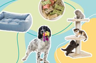 SPR-PETS-best-pet-deals