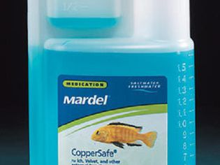 Fritz Aquatics Mardel Coppersafe on a dark background