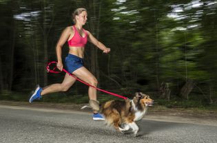 带着狗跑的女人，一个sheltie